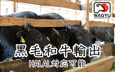 国産黒毛和種